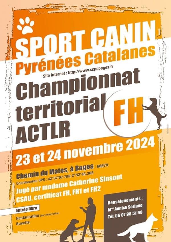 Championnat territorial FH